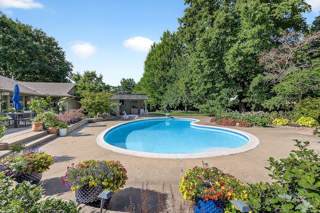 4130 Beaver Ave, Des Moines, IA 50310 - outdoor pool featuring a diving board and a patio