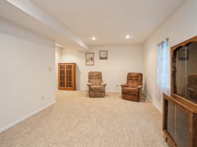 815 W 6th St S, Newton, IA 50208 - living area with carpet and recessed lighting