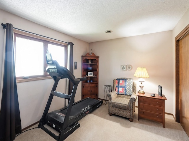 1246 N 75th Ave W, Newton, IA 50208 - workout room featuring carpet flooring and a textured ceiling
