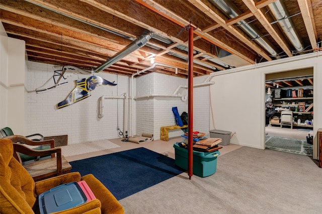 1412 Court St, Adel, IA 50003 - exercise room with carpet flooring