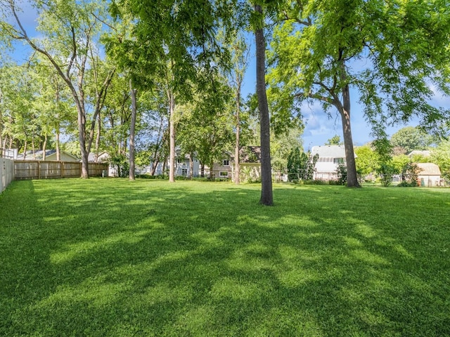 1907 Thornton Ct, Des Moines, IA 50320 - view of yard