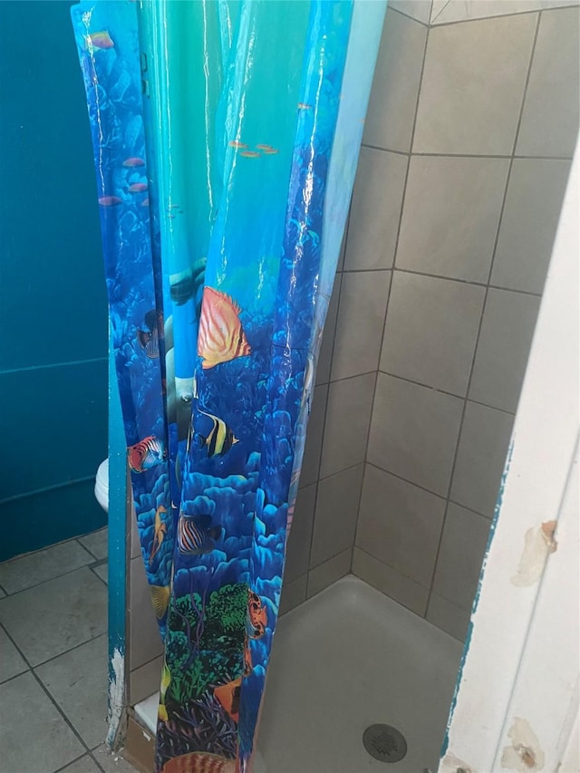 1159 18th St, Des Moines, IA 50314 - full bathroom featuring a shower stall and tile patterned flooring