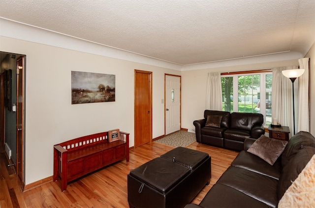 1022 Trisha Ave, Des Moines, IA 50313 - living room featuring wood finished floors and a textured ceiling