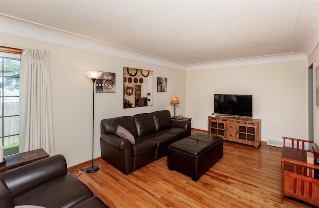 1022 Trisha Ave, Des Moines, IA 50313 - living room featuring light wood-style flooring and a textured ceiling