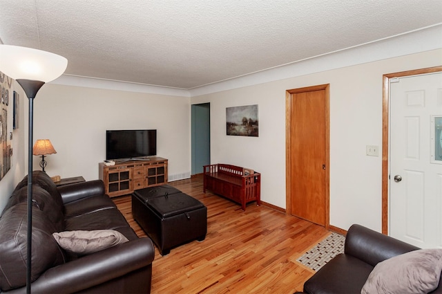 1022 Trisha Ave, Des Moines, IA 50313 - living room featuring light wood finished floors and a textured ceiling
