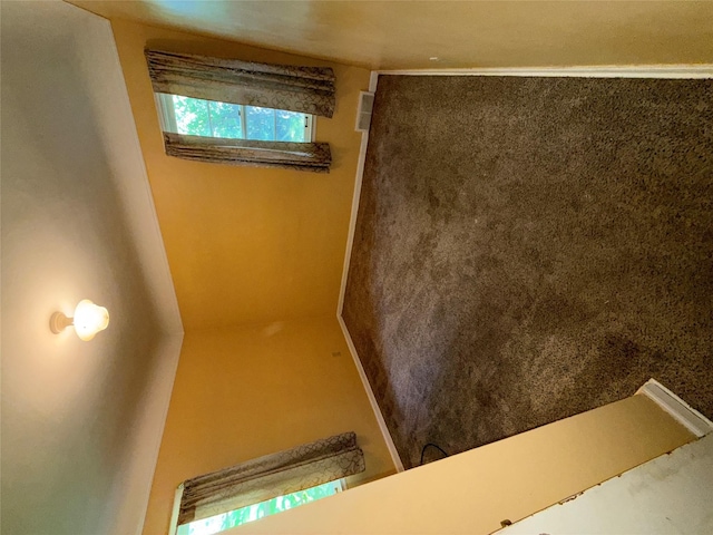 3623 Wright St, Des Moines, IA 50316 - photo 6