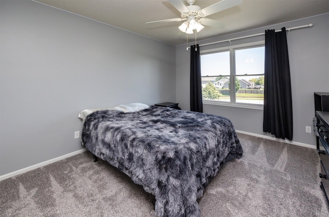 4104 SW 2nd St, Ankeny, IA 50023 - bedroom with carpet flooring and a ceiling fan