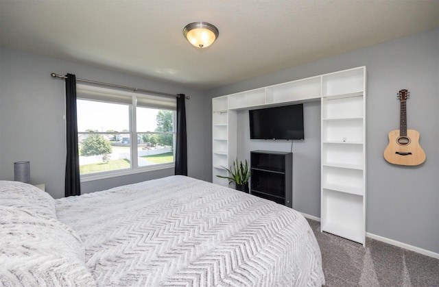 4104 SW 2nd St, Ankeny, IA 50023 - bedroom with dark colored carpet and baseboards