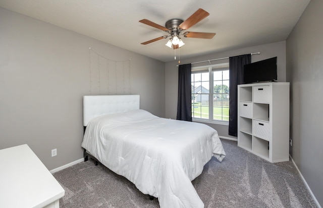 4104 SW 2nd St, Ankeny, IA 50023 - bedroom featuring carpet flooring and ceiling fan