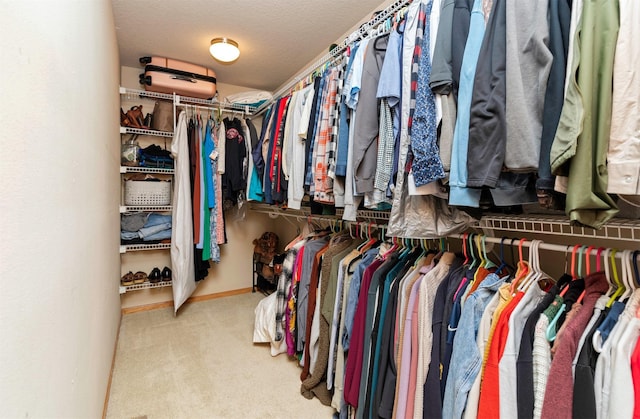 705 Patterson Dr, Carlisle, IA 50047 - spacious closet featuring carpet