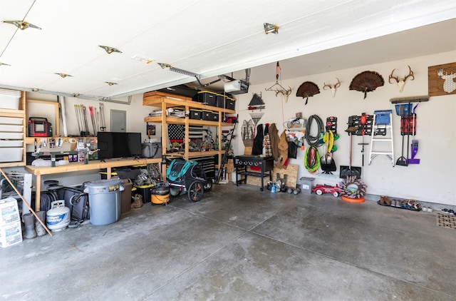 705 Patterson Dr, Carlisle, IA 50047 - garage with a workshop area and a garage door opener