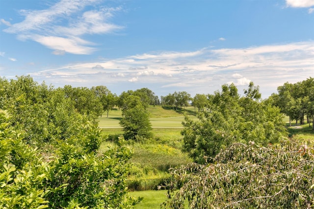 1325 NE 31st St, Ankeny, IA 50021 - photo 33