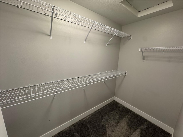 10009 Powell Ave, Johnston, IA 50131 - walk in closet featuring dark carpet