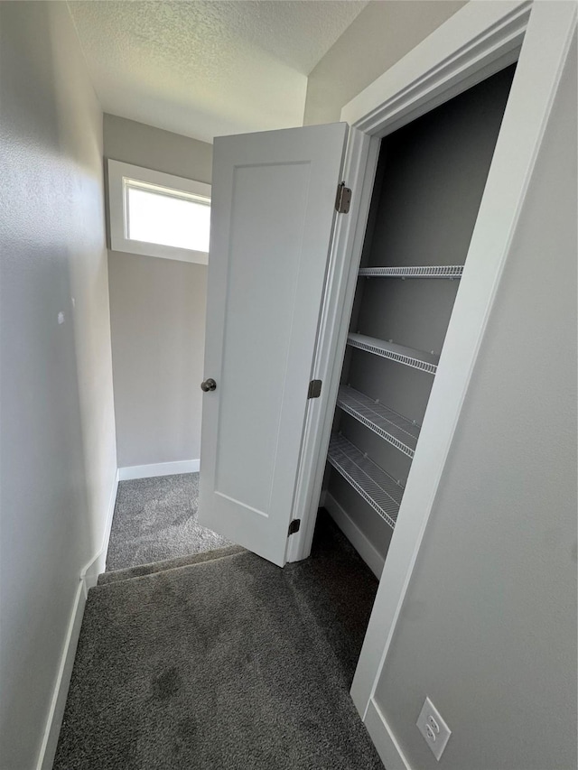 10009 Powell Ave, Johnston, IA 50131 - view of closet