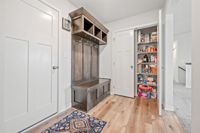 2708 NW Boulder Point Pl, Ankeny, IA 50023 - mudroom featuring light wood-type flooring