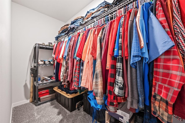 2708 NW Boulder Point Pl, Ankeny, IA 50023 - spacious closet with carpet flooring