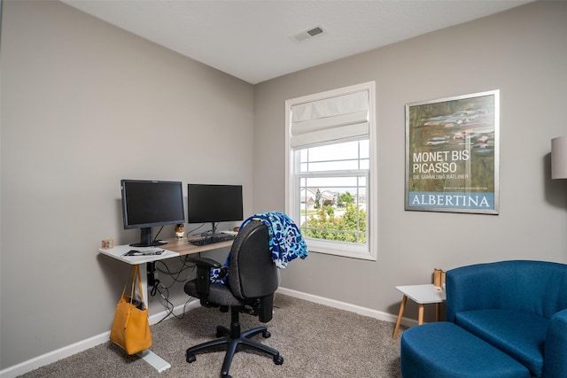 303 SE 14th St, Grimes, IA 50111 - office space with baseboards and carpet