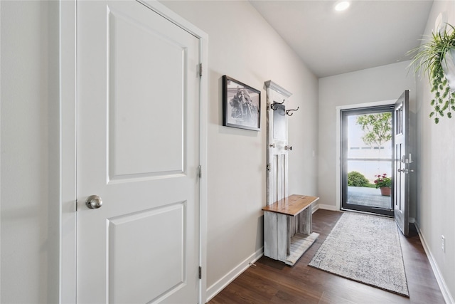 3213 NW Linwood Ln, Ankeny, IA 50023 - doorway to outside with dark wood-type flooring and baseboards