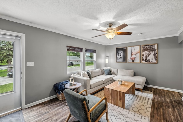 503 S Freeman St, Indianola, IA 50125 - living room with crown molding, wood finished floors, ceiling fan, and a textured ceiling