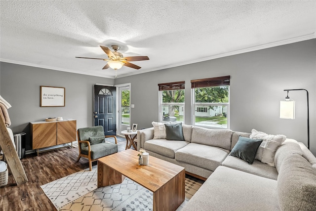 503 S Freeman St, Indianola, IA 50125 - living area with crown molding, dark wood finished floors, a textured ceiling, and a ceiling fan