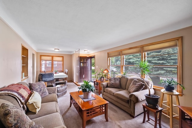 1232 Carrie Ave, Des Moines, IA 50315 - living room featuring light carpet