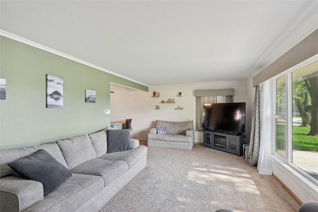 106 NW Scott St, Ankeny, IA 50023 - carpeted living room featuring ornamental molding