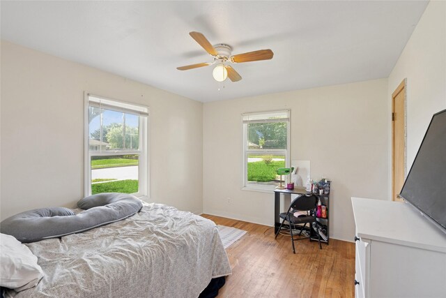 106 NW Scott St, Ankeny, IA 50023 - bedroom with light wood-style flooring and ceiling fan