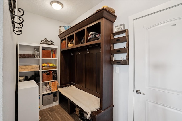 1609 NW Prairie Creek Dr, Grimes, IA 50111 - mudroom with dark wood-style floors