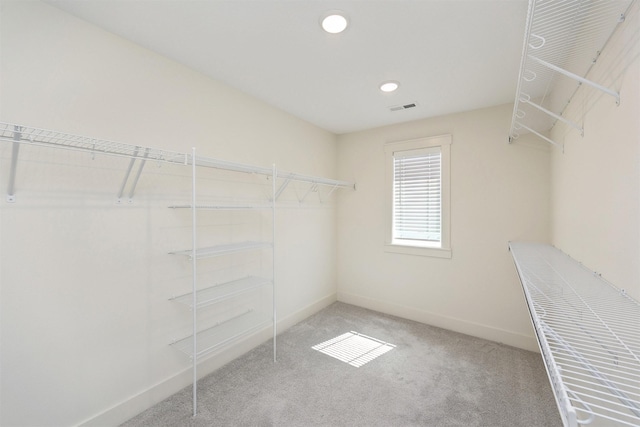 4774 172nd Way, Urbandale, IA 50323 - walk in closet with carpet
