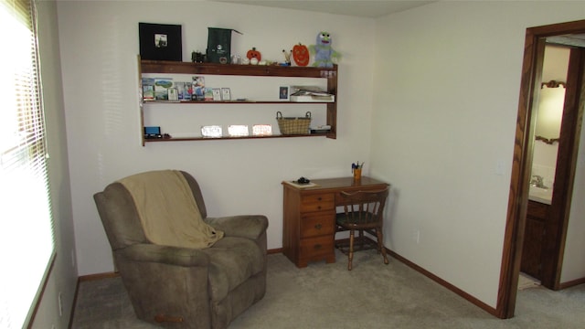 1401 N Grant St, Knoxville, IA 50138 - living area with carpet floors