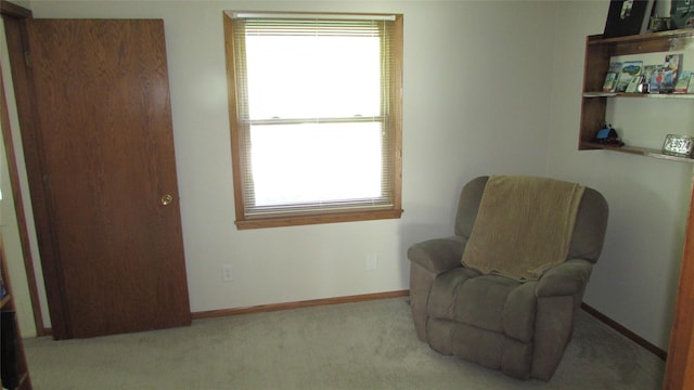 1401 N Grant St, Knoxville, IA 50138 - living area with healthy amount of natural light and carpet