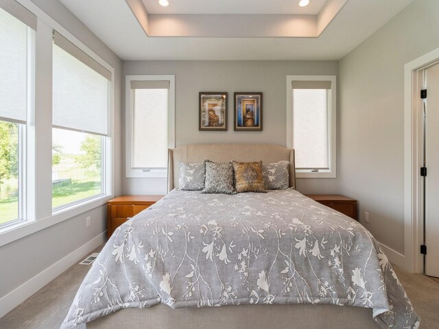2013 Autumn Blaze Dr, Norwalk, IA 50211 - carpeted bedroom featuring a tray ceiling and recessed lighting