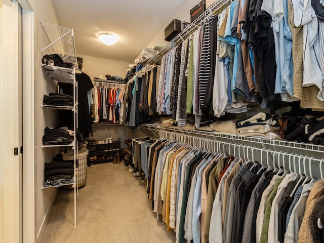 2013 Autumn Blaze Dr, Norwalk, IA 50211 - spacious closet featuring light carpet