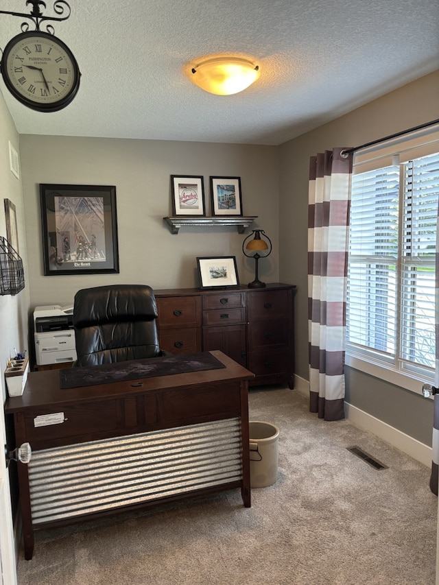 8200 Goodman Dr, Urbandale, IA 50322 - home office featuring light carpet, plenty of natural light, and a textured ceiling