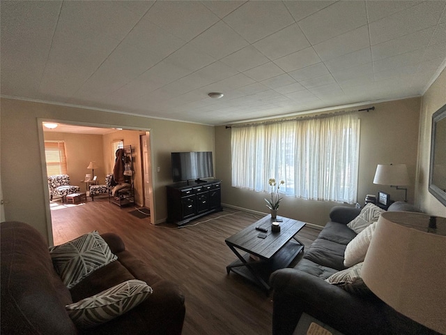 607 E Jasper St, Pleasantville, IA 50225 - living area featuring wood finished floors and crown molding