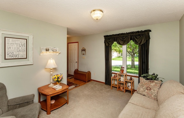 3806 Columbine Ave, Ames, IA 50010 - living area with light colored carpet