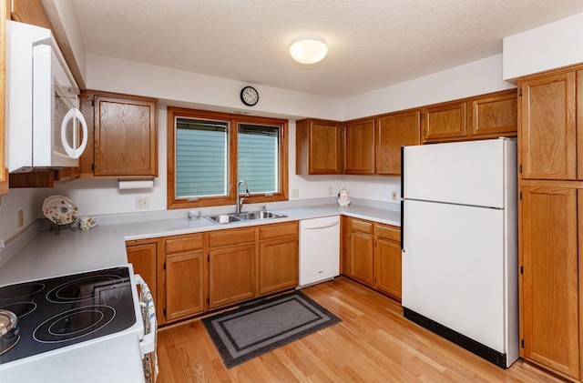 3806 Columbine Ave, Ames, IA 50010 - kitchen featuring white appliances, brown cabinetry, light wood-style flooring, light countertops, and a textured ceiling