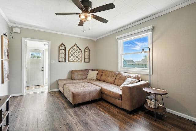 510 Maple Ave, Woodward, IA 50276 - living room featuring dark wood-style floors, ornamental molding, plenty of natural light, and a ceiling fan
