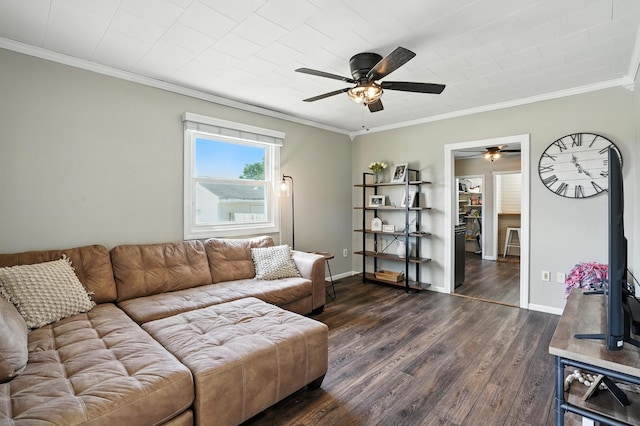 510 Maple Ave, Woodward, IA 50276 - living area with ceiling fan, dark wood-style flooring, and crown molding