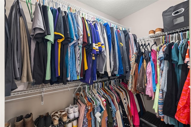2718 NW 23rd St, Ankeny, IA 50023 - view of spacious closet