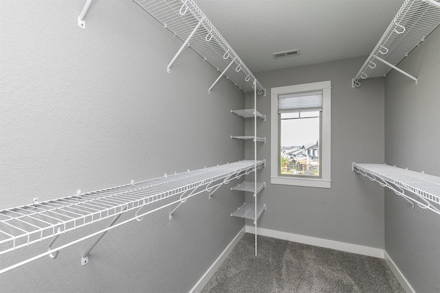2017 NE Heritage Dr, Grimes, IA 50111 - walk in closet with carpet floors