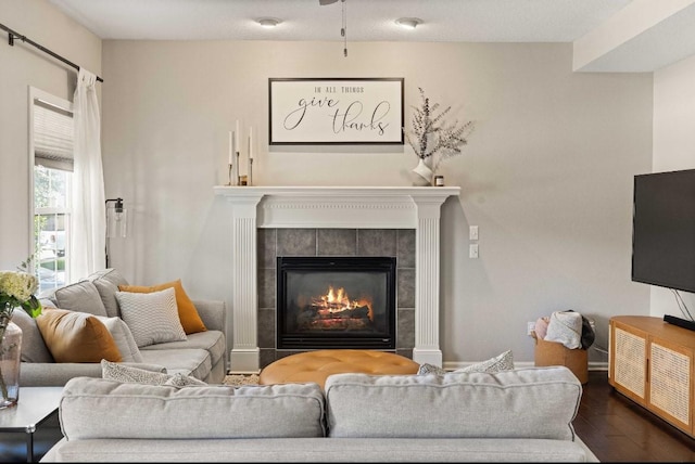 145 SE Kellerman Ln, Waukee, IA 50263 - living area with dark wood-type flooring and a tiled fireplace