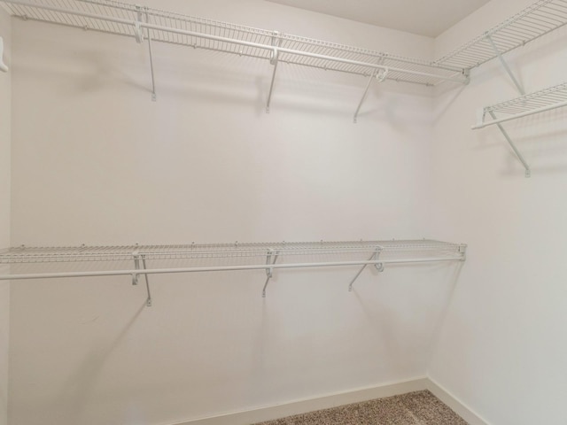 8955 Jamison Dr, West Des Moines, IA 50266 - spacious closet with carpet floors