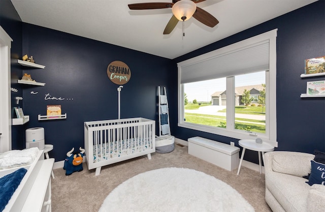 3107 NE 17th St, Ankeny, IA 50021 - photo 18