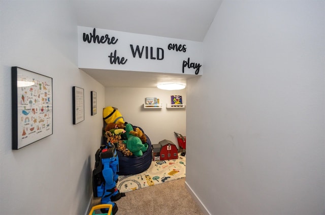 3107 NE 17th St, Ankeny, IA 50021 - photo 25
