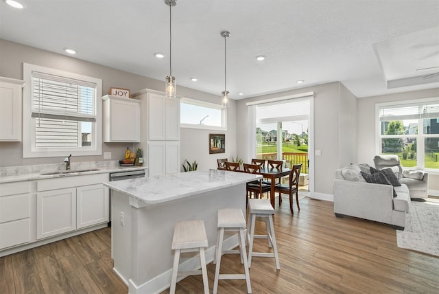 2845 SE Bluestem Dr, Waukee, IA 50263 - kitchen featuring wood finished floors, plenty of natural light, white cabinets, and recessed lighting