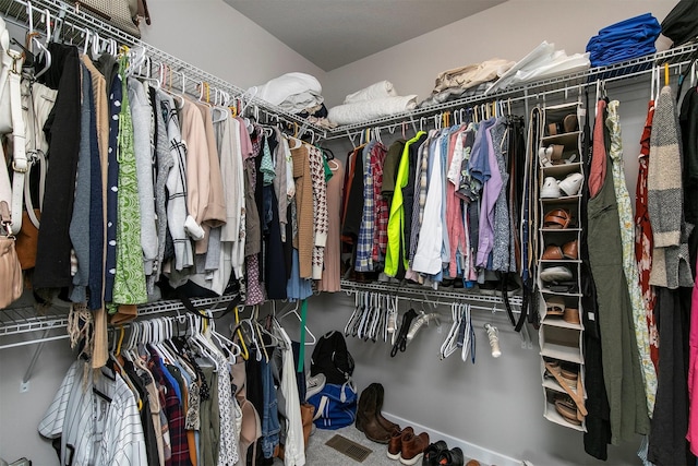 2845 SE Bluestem Dr, Waukee, IA 50263 - view of spacious closet