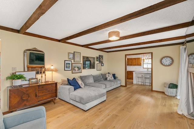 10438 Donna Bella Cir, Clive, IA 50325 - living area featuring light wood-style floors and beam ceiling