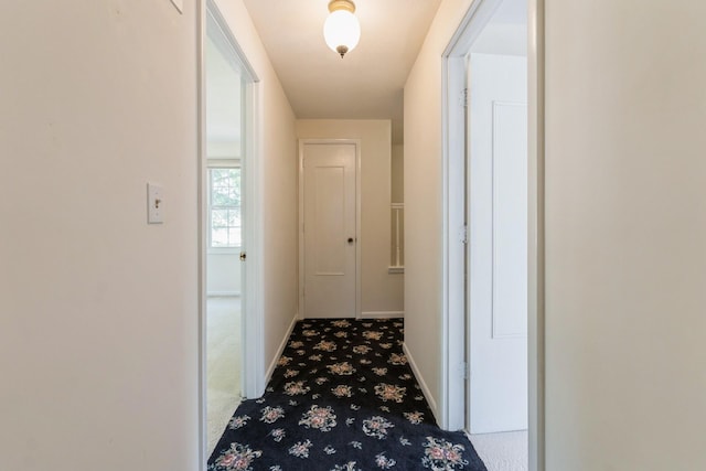 4511 67th St, Urbandale, IA 50322 - hall featuring carpet flooring and baseboards