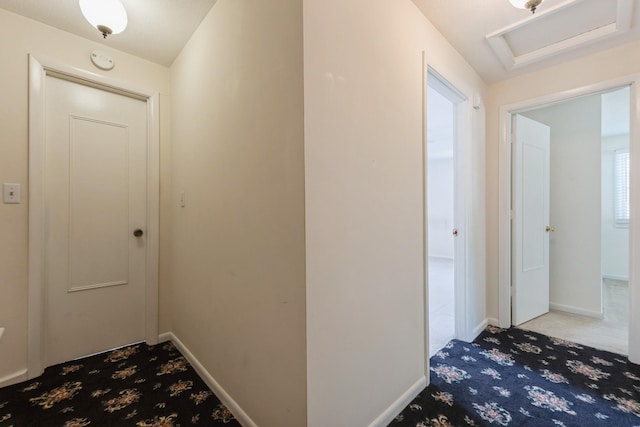 4511 67th St, Urbandale, IA 50322 - hall with carpet and baseboards